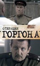 Операция «Горгона» 2011