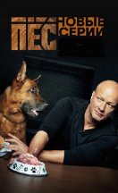 Пёс 1-6 сезон 2015-2022