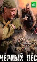 Чёрный пёс 2019-2025