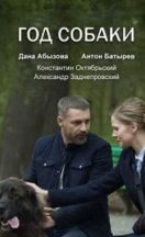 Год собаки 2019