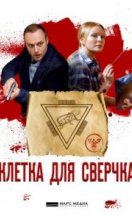 Клетка для сверчка 2019