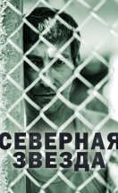 Северная звезда 2022