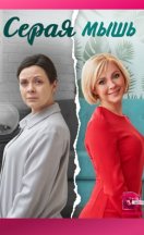 Серая мышь 2023