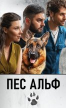 Пес Альф 2024