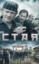 Стая 2009
