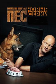 Пёс 1-6 сезон 2015-2022