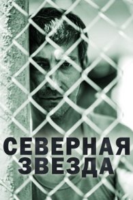 Северная звезда 2022