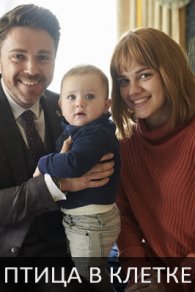 Птица в клетке 2022