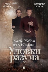 постер сериала «Уловки разума»