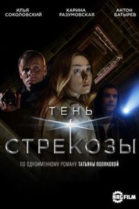 постер сериала «Тень стрекозы»