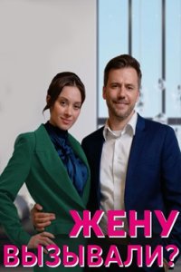 постер сериала «Жену вызывали?»