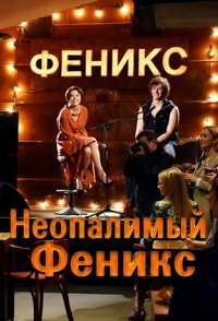 постер сериала «Неопалимый Феникс»