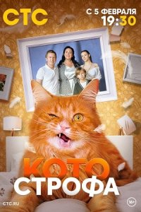 постер сериала «Котострофа»