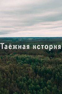 постер сериала «Таёжная история»