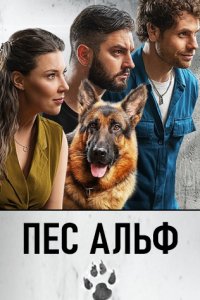 постер сериала «Пес Альф»