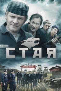 постер сериала «Стая»